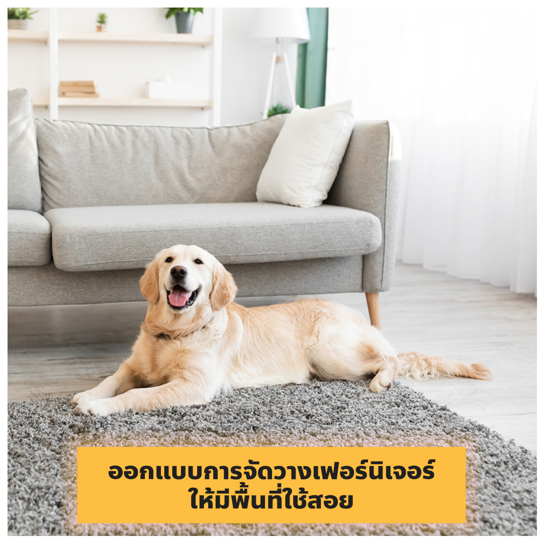 ออกแบบบ้านให้น้องหมา น้องแมว