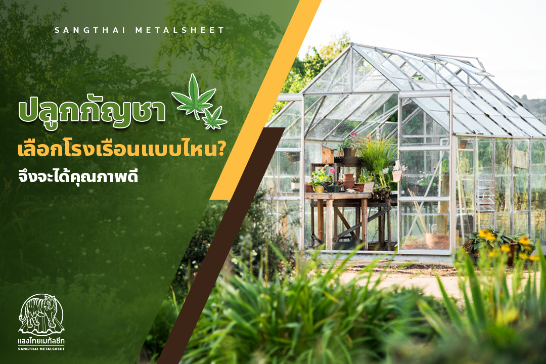 ปลูกกัญชา เลือกโรงเรือนแบบไหน ได้คุณภาพดีที่สุด