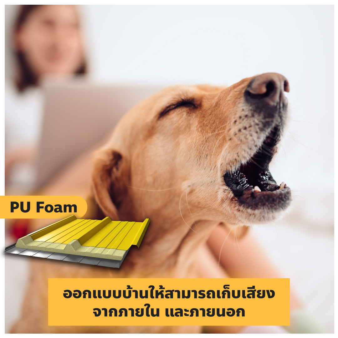 ออกแบบบ้านให้น้องหมา น้องแมว