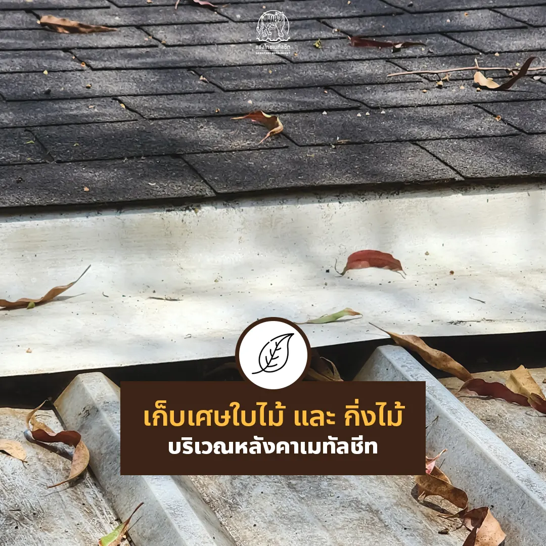 ควรเก็บเศษใบไม้ และกิ่งไม้บริเวณหลังคาสรรไทสม่ำเสมอ
