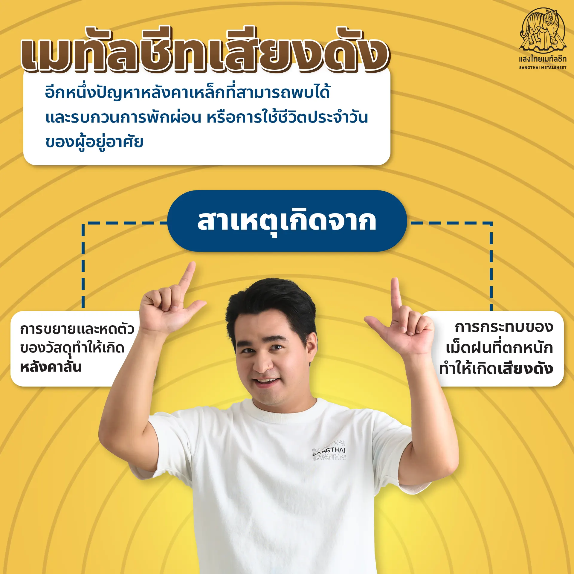 เมทัลชีทเสียงดัง คืออะไร ?